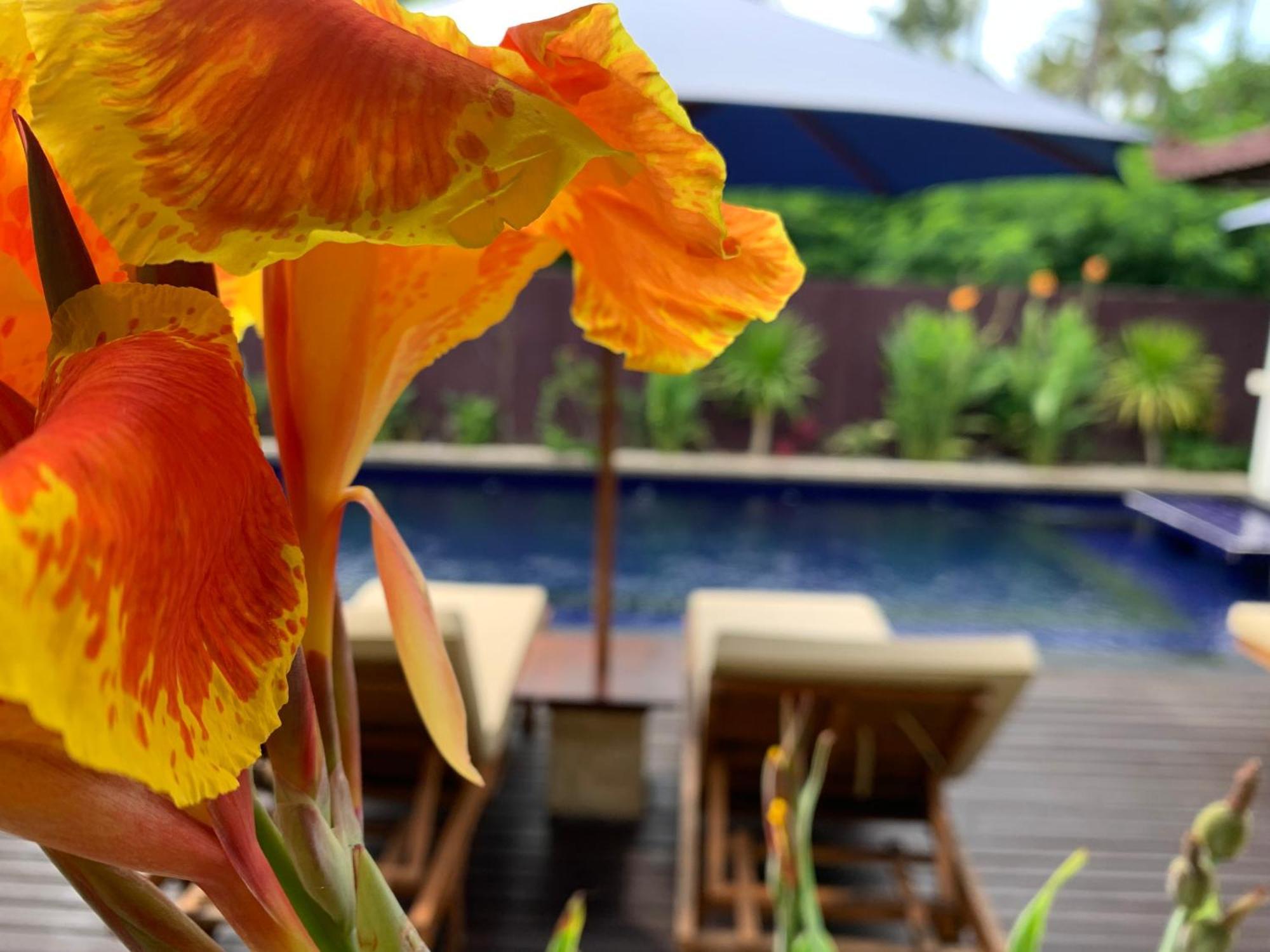 Relax Villas Gili Air Exterior photo